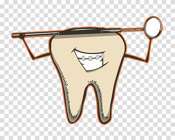 Human tooth Dentistry Birkenhead Family Dental, Orange Dentist transparent background PNG clipart
