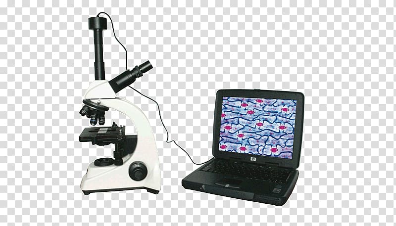 Optical microscope Digital Cameras Digital microscope, microscope transparent background PNG clipart