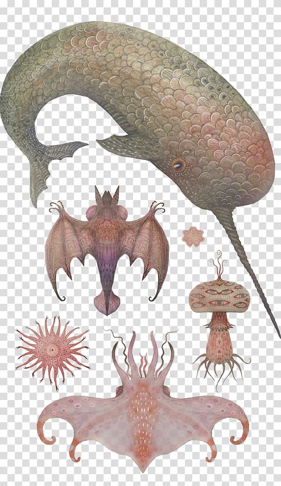 Graphic design Illustrator Art, nature sea animals marine microorganisms transparent background PNG clipart