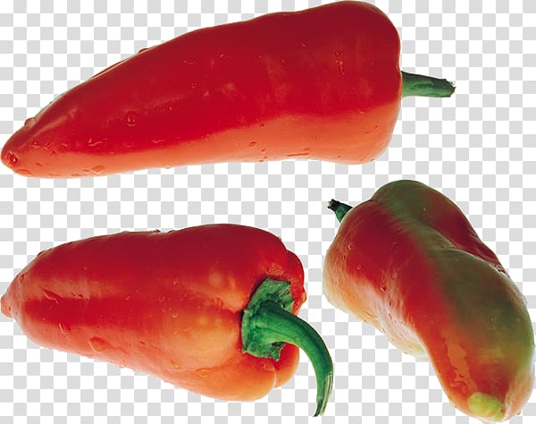 Chili pepper Jalapeño, others transparent background PNG clipart