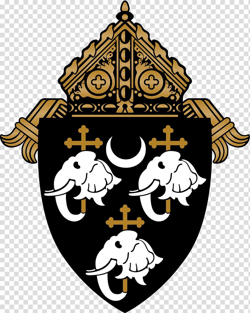 Roman Catholic Diocese of Camden St. Joseph Pro-Cathedral Bishop Parish, others transparent background PNG clipart