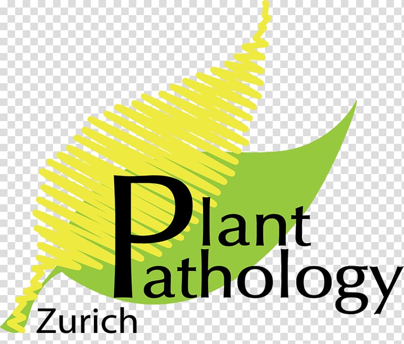 Plant pathology ETH Zurich Leaf Plants, Leaf transparent background PNG clipart