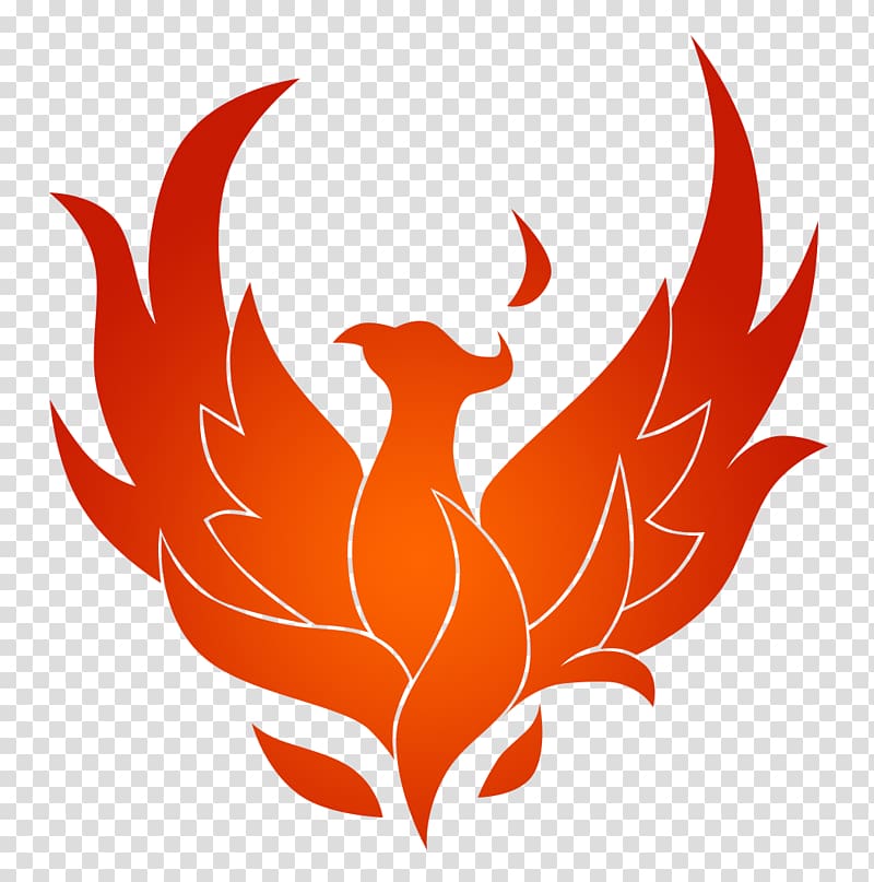 Phoenix Symbol Fenghuang Tattoo Drawing, Phoenix transparent background PNG clipart