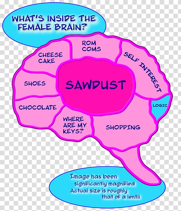 The Female Brain Organ Mind The Awkward Yeti, Female Brain transparent background PNG clipart