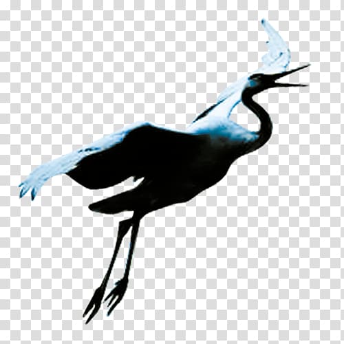 Crane Bird Flight, white crane transparent background PNG clipart