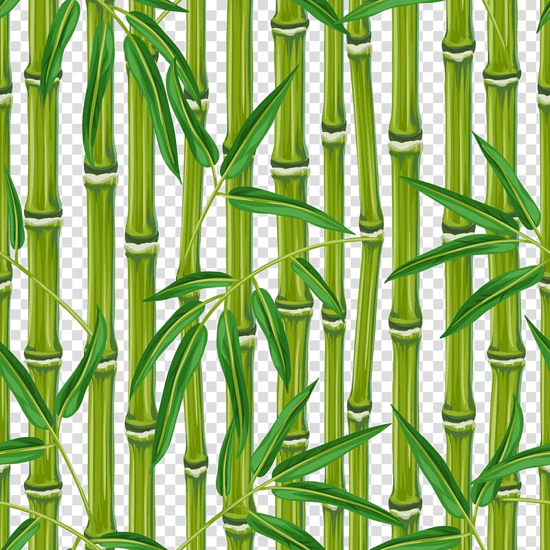 Bamboo Bamboe, free bamboo transparent background PNG clipart