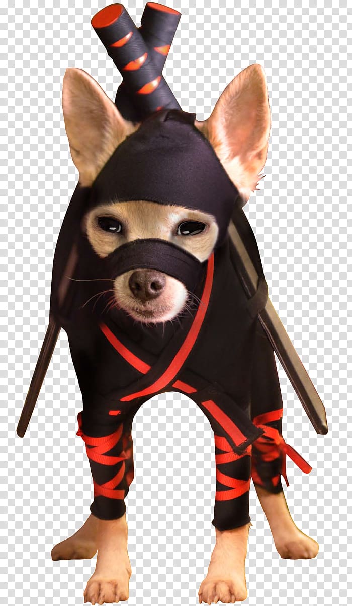 Chihuahua Puppy Ninja Dog German Shepherd Dog breed, puppy transparent background PNG clipart