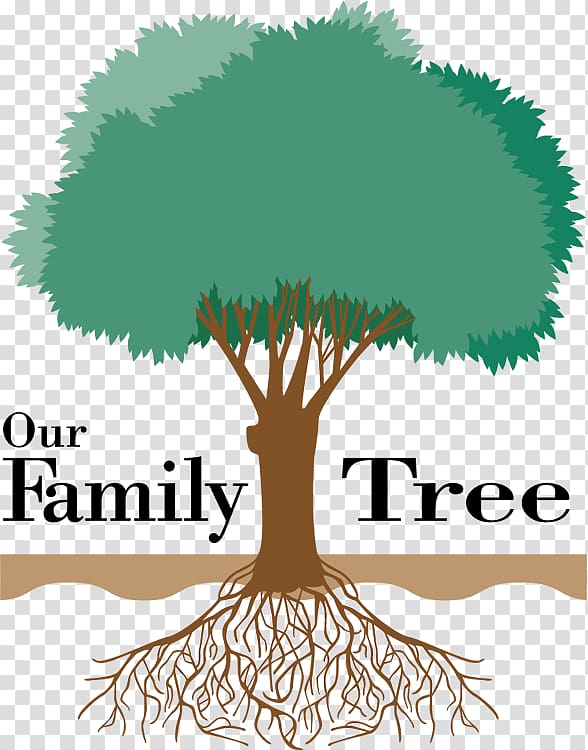 Family tree Genealogy Ancestor , family tree transparent background PNG clipart