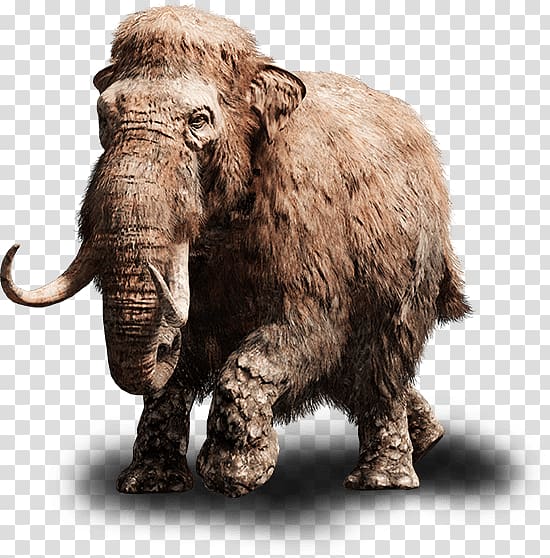 Far Cry Primal Far Cry Instincts Far Cry 3 PlayStation 4 Woolly mammoth, Far Cry transparent background PNG clipart