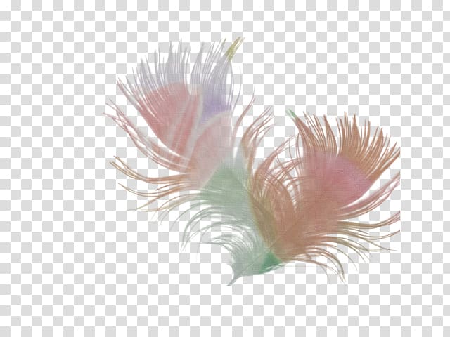 Desktop Feather, floating feather transparent background PNG clipart