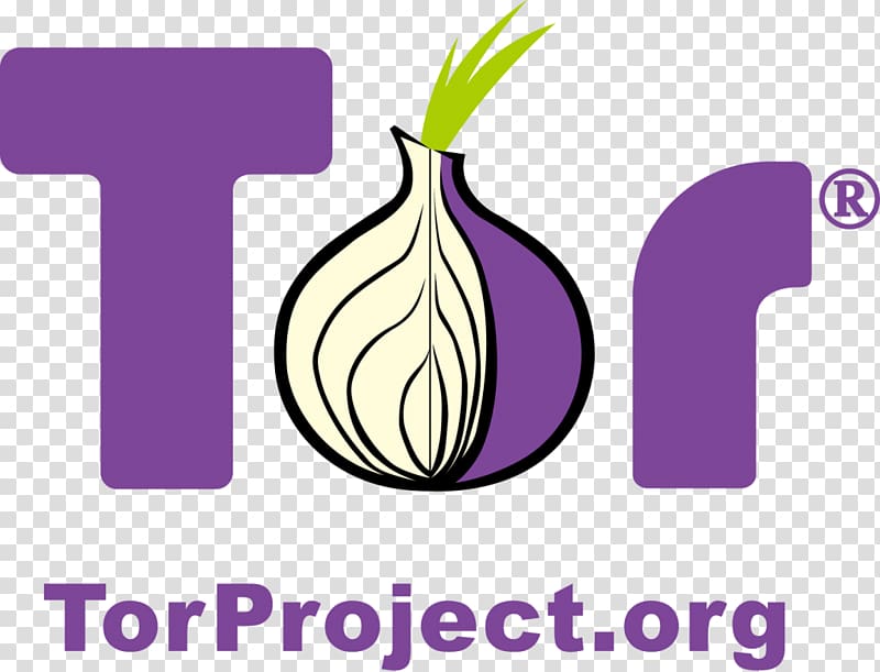 The Tor Project, Inc .onion Web browser Computer Software, onion transparent background PNG clipart