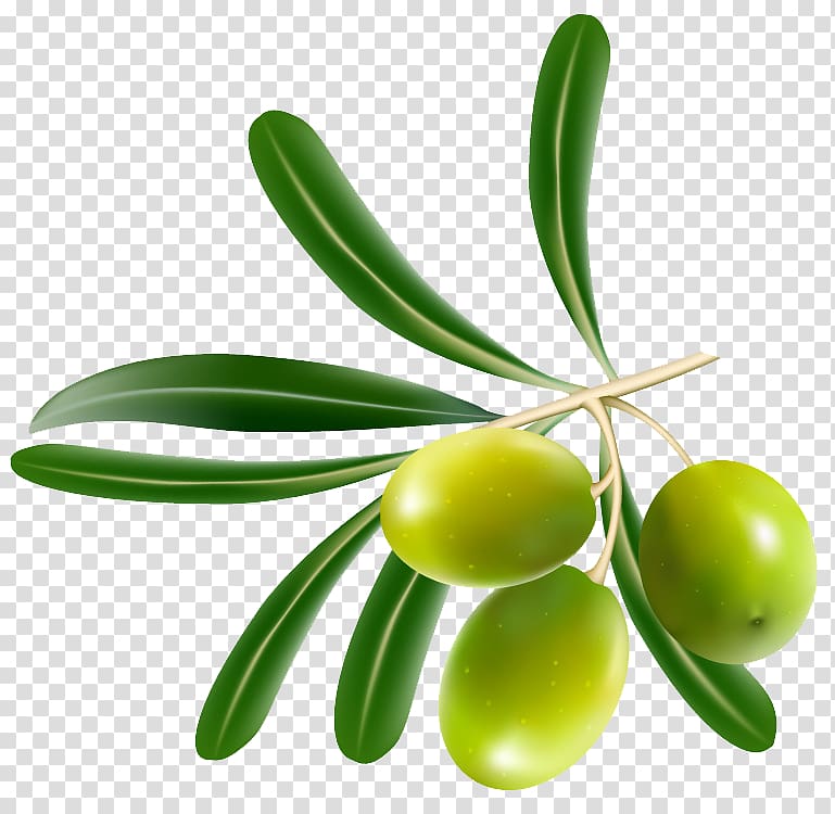Olive oil , Olives transparent background PNG clipart