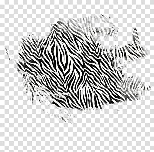 Zebra Tiger Cat Animal print Pattern, zebra transparent background PNG clipart