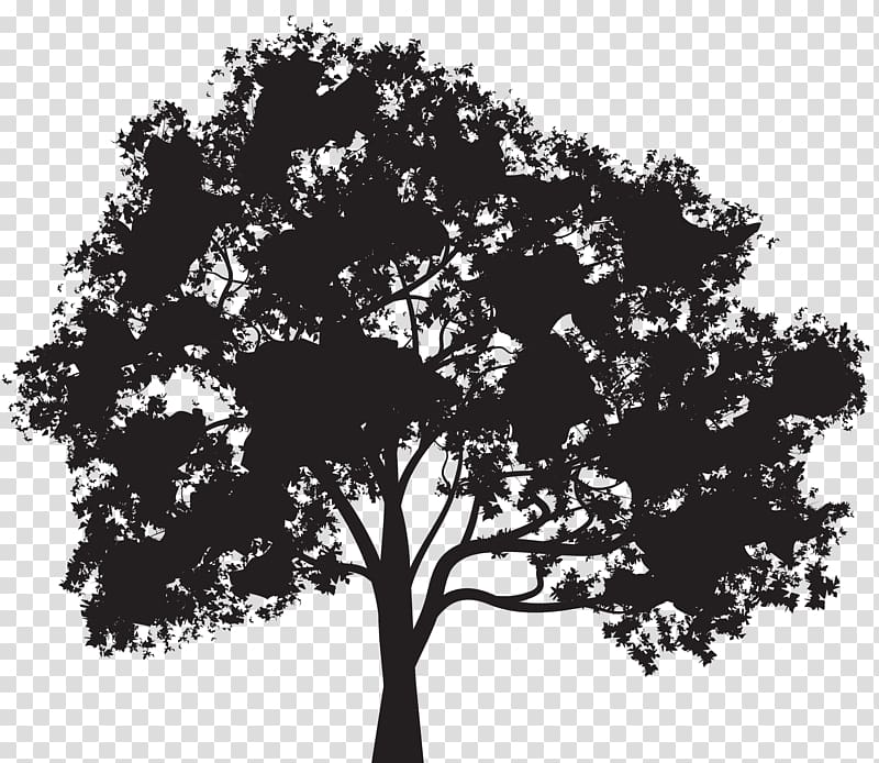 Silhouette Tree , Tree Silhouette transparent background PNG clipart