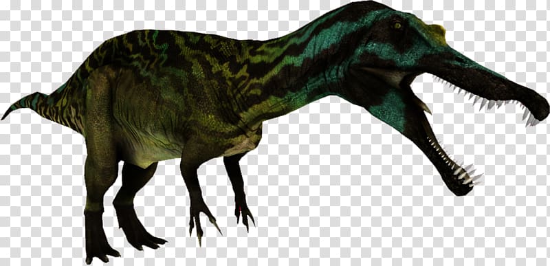 Zoo Tycoon 2 Tyrannosaurus Suchomimus Spinosaurus Irritator, dinosaur transparent background PNG clipart