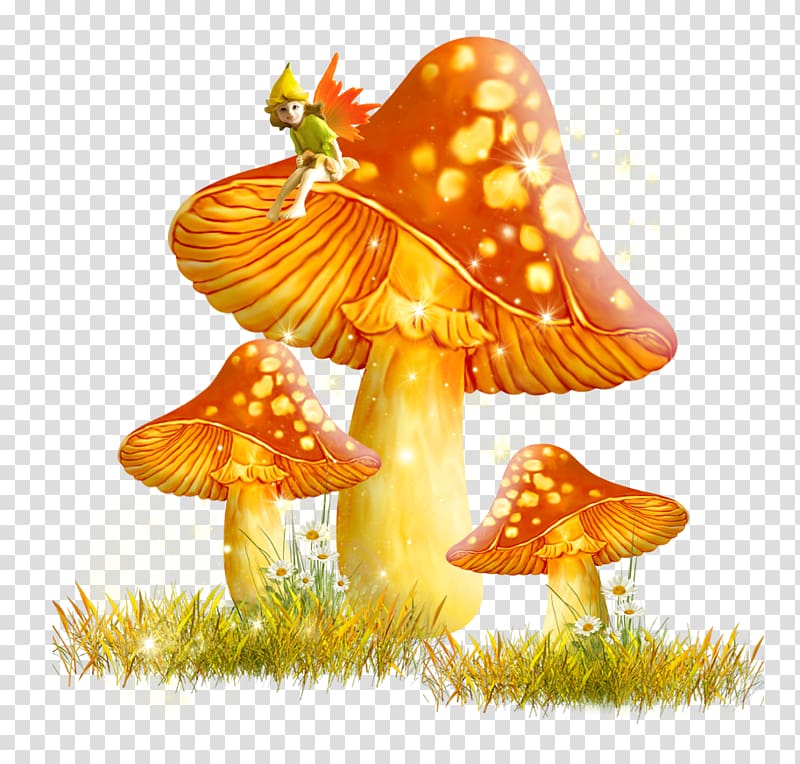 Mushroom Fungus , Golden Mushroom transparent background PNG clipart