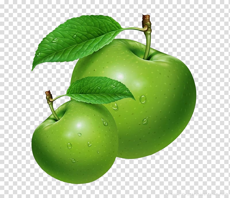 Apple juice Extract Apple seed oil Essential oil, Green apple transparent background PNG clipart