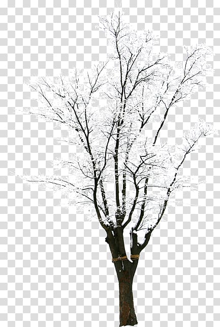 hd creative synthesis winter trees transparent background PNG clipart