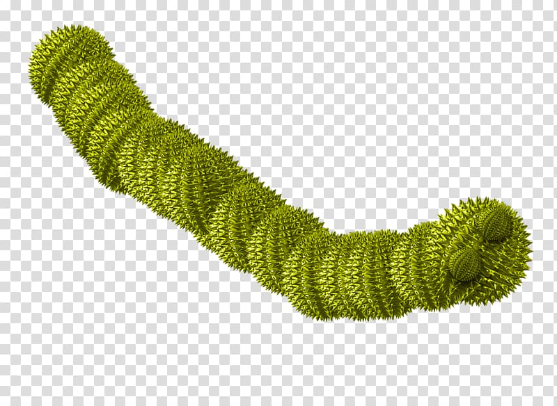 Computer worm Computer virus Malware Spyware Trojan horse, Caterpillar transparent background PNG clipart