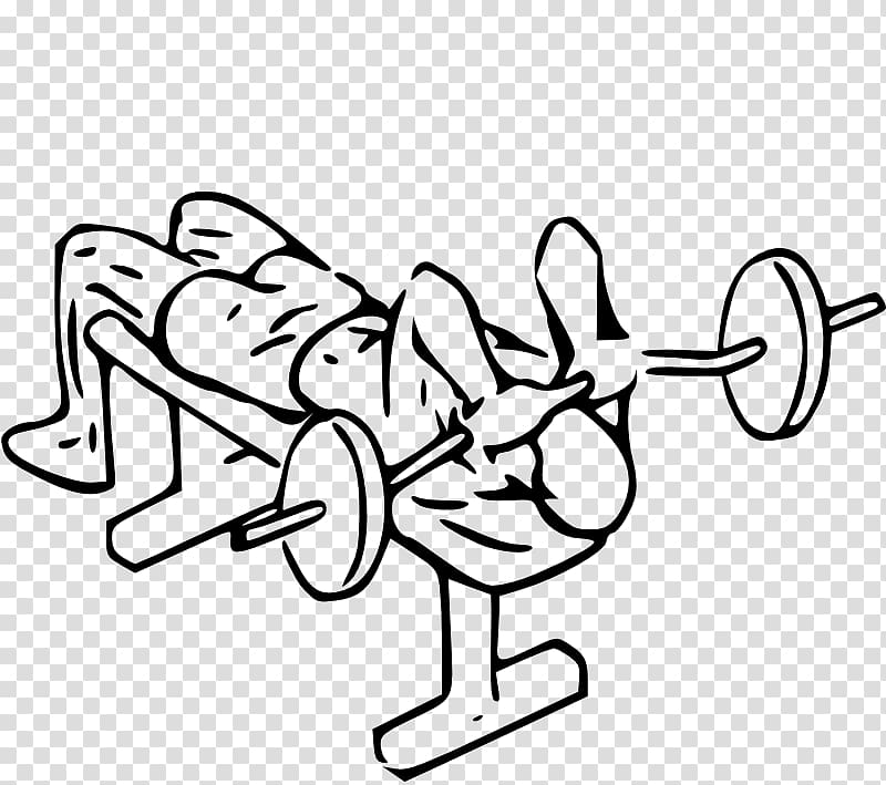 Lying triceps extensions Triceps brachii muscle Bench press Exercise, arm transparent background PNG clipart