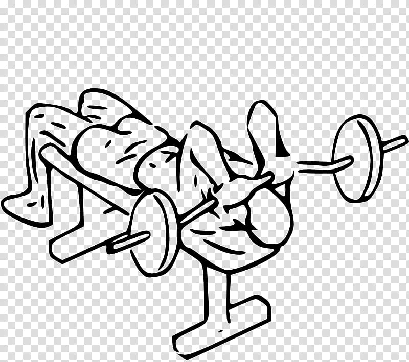 Lying triceps extensions Triceps brachii muscle Bench press Exercise, arm  transparent background PNG clipart