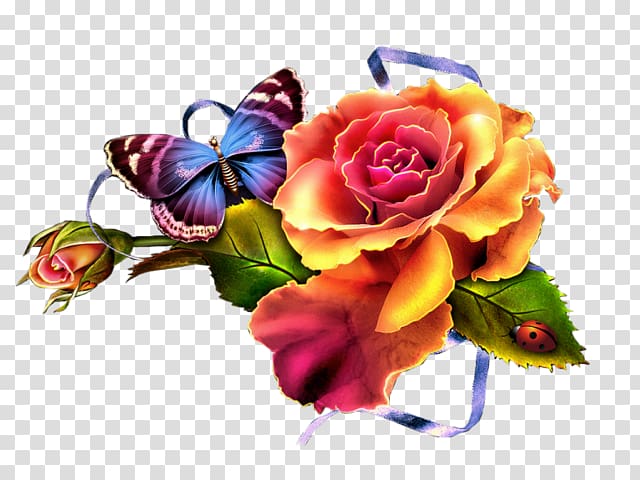 orange and red rose flower and blue butterfly art, Cut flowers Floral design Garden roses, flower transparent background PNG clipart