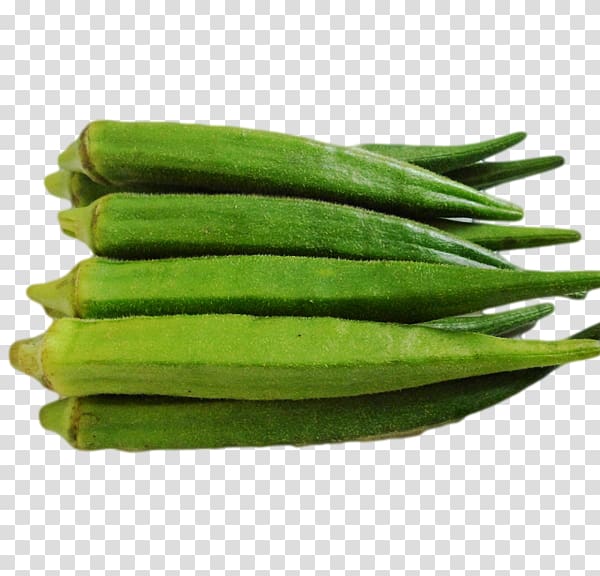 Okra Ladyfinger Vegetable Green bean Ghormeh sabzi, vegetable transparent background PNG clipart
