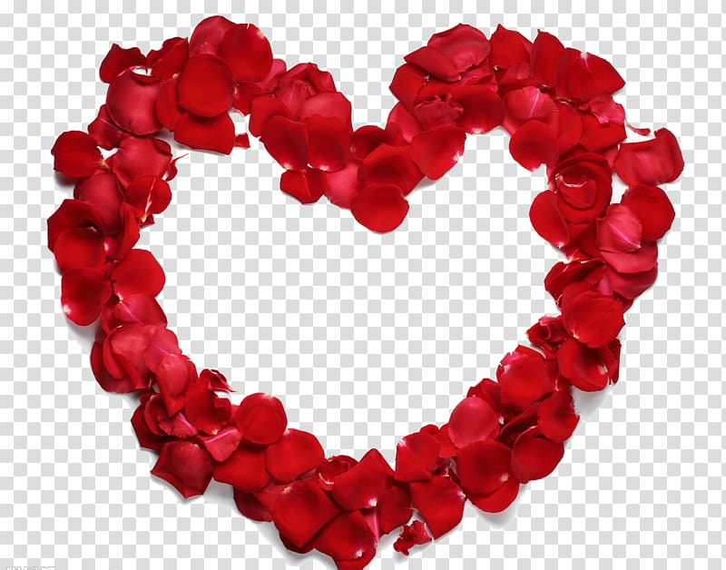red rose petals heart decor, Heart Beach rose Petal Flower, Rose heart-shaped frame transparent background PNG clipart