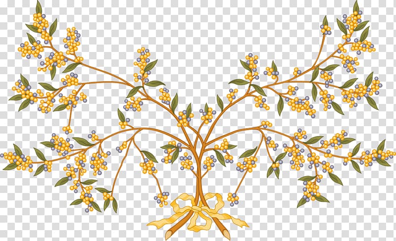 Branch Tree Acacia , tree transparent background PNG clipart