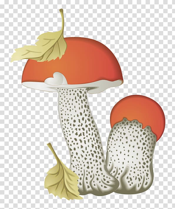 Brown cap boletus Aspen mushroom Fungus Edible mushroom, mushroom transparent background PNG clipart
