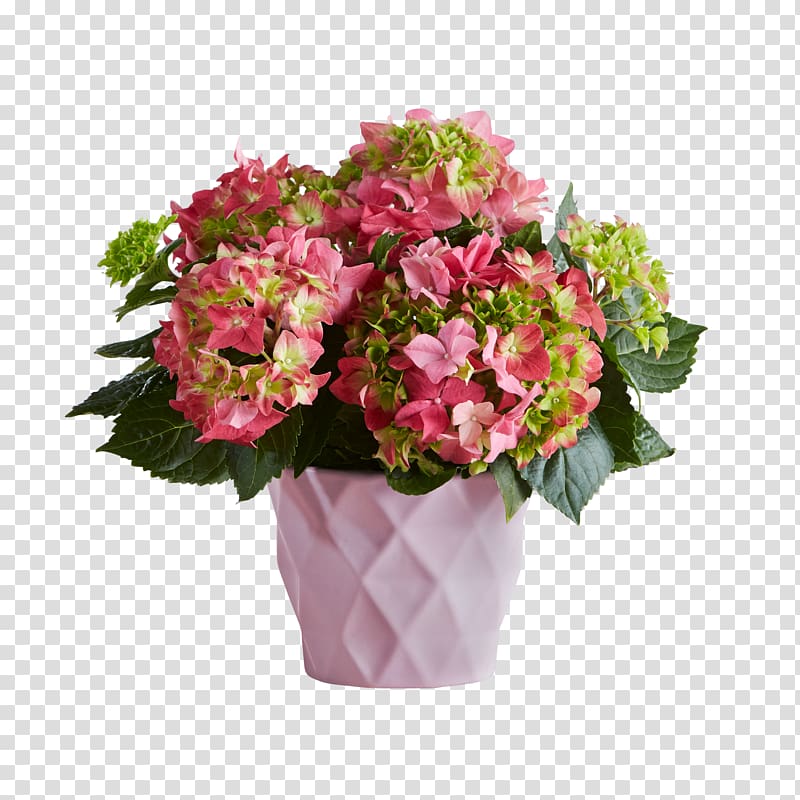 Flower delivery Floristry Teleflora Gift, flower transparent background PNG clipart