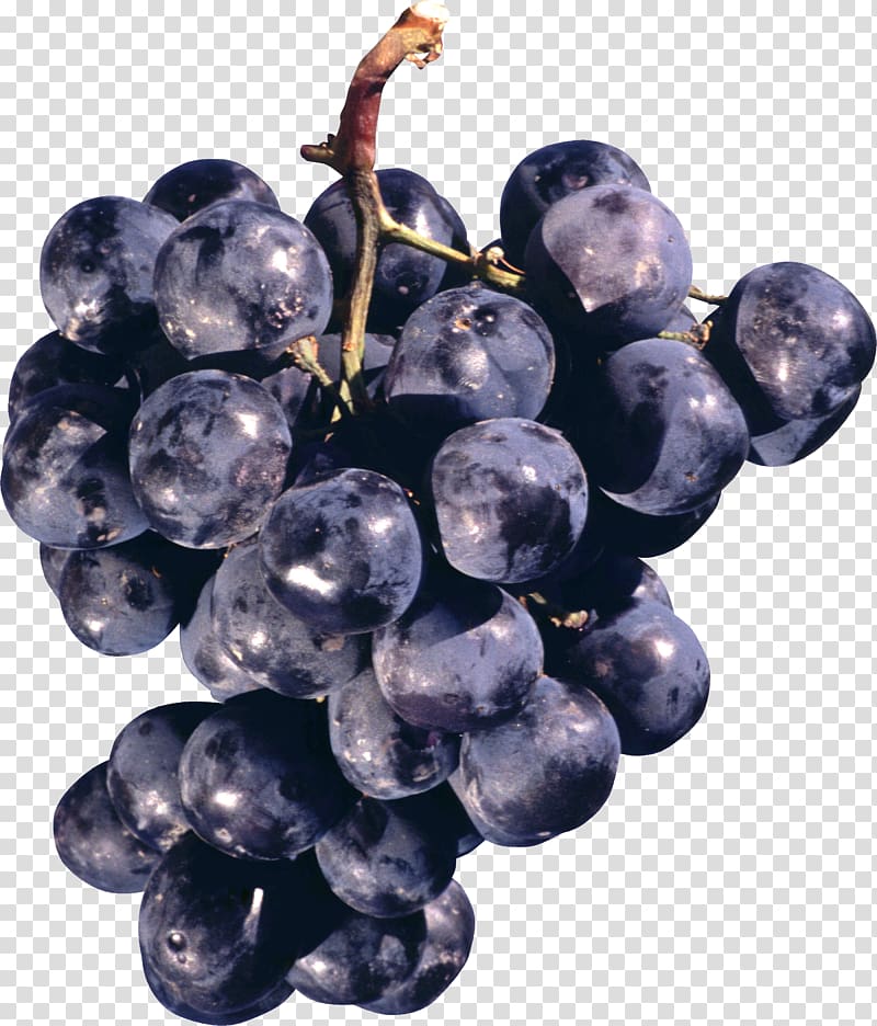 Concord grape, Grape transparent background PNG clipart