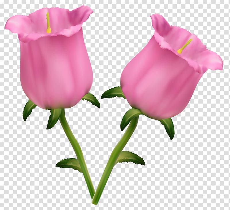two pink tulips illustration, Flower Floral design , Pink Flowers Bells transparent background PNG clipart