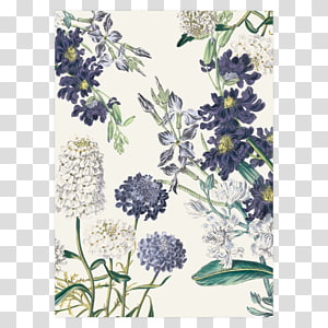 Wedding invitation Botanical garden Botany, botanical pattern transparent background PNG clipart thumbnail