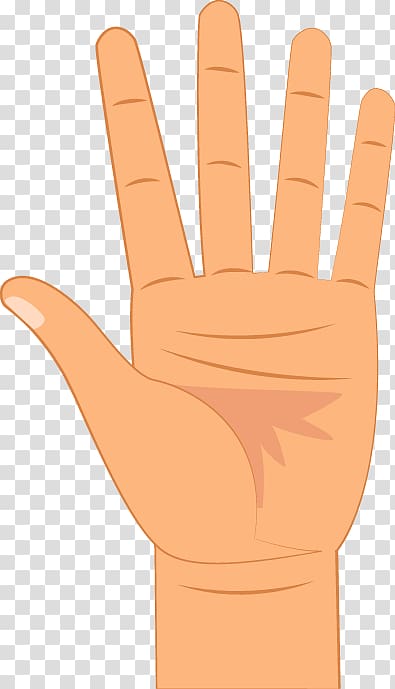 Thumb Digit Hand Little finger, granos en los dedos de la mano transparent background PNG clipart
