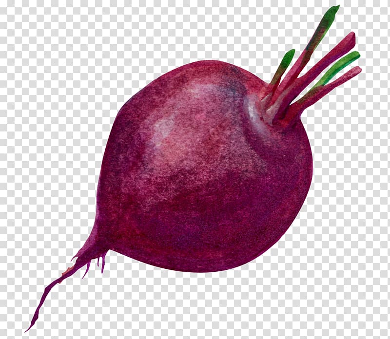Purple Radish Vegetable, Purple radish transparent background PNG clipart