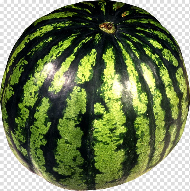 Citrullus lanatus var. lanatus Melon Fruit , watermelon transparent background PNG clipart
