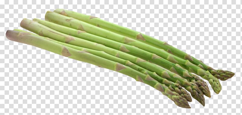 Asparagus , vegetable transparent background PNG clipart