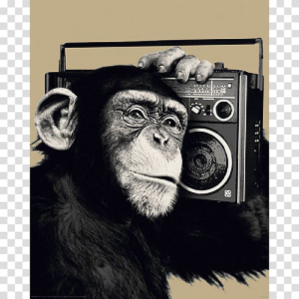 Chimpanzee Poster Monkey Primate , monkey transparent background PNG clipart