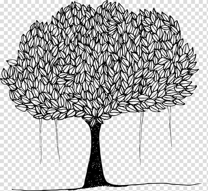 Banyan Tree Common fig Leaf , tree transparent background PNG clipart