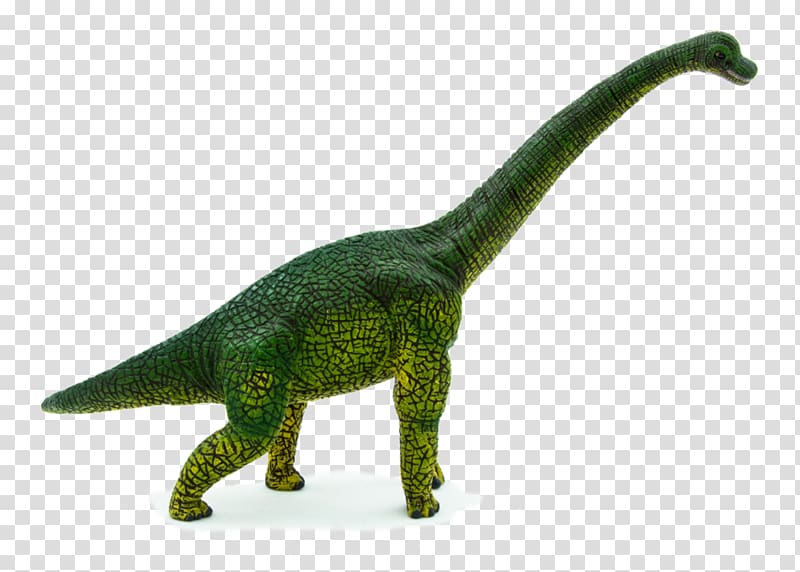 Brachiosaurus Stegosaurus Dinosaur Prehistoric World Tyrannosaurus, dinosaur transparent background PNG clipart