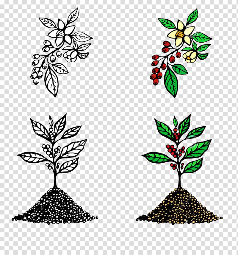 cartoon coffee tree seconds material transparent background PNG clipart
