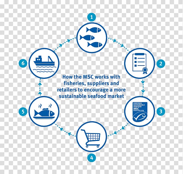 Marine Stewardship Council Sustainable fishery Sustainability Sustainable seafood Fishing, Consumer Behaviour transparent background PNG clipart