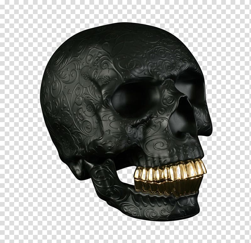 Human skull Calavera Graphics, skull transparent background PNG clipart