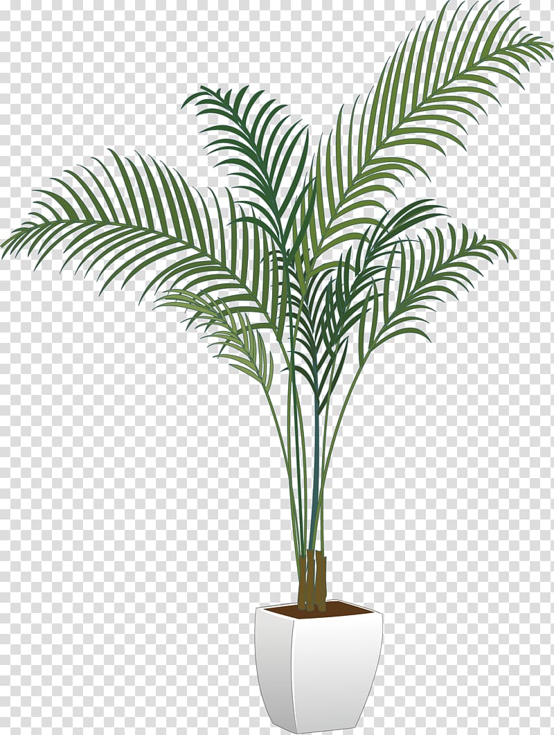 potted green leafed plant painting, Arecaceae Flowerpot Houseplant, green potted plants transparent background PNG clipart