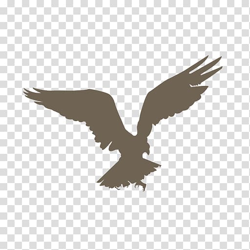 Bird Silhouette Drawing, cartoon eagle transparent background PNG clipart