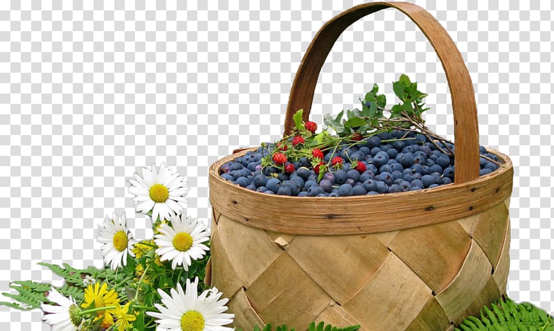 Blueberry Bog bilberry Fruit, blueberry transparent background PNG clipart