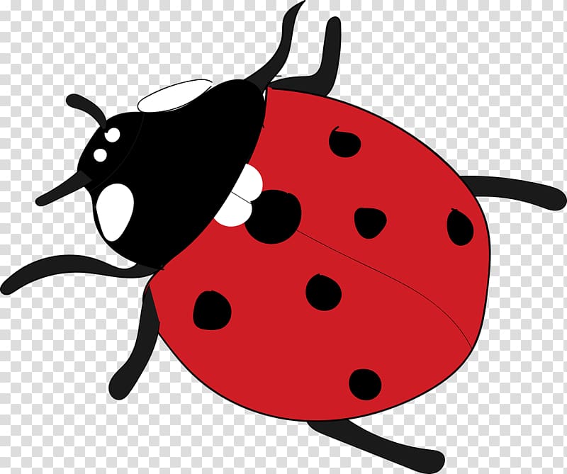 Ladybird beetle , beetle transparent background PNG clipart