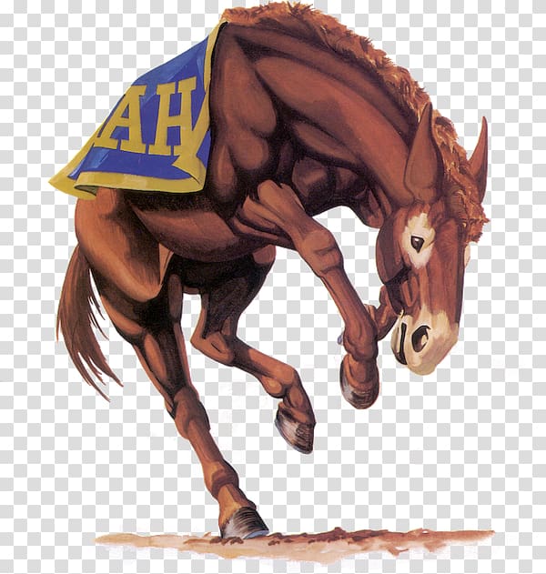 Alamo Heights High School Alamo Heights Junior High School National Secondary School Mule Horse, horse transparent background PNG clipart