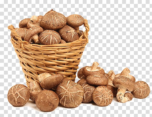 Lingzhi mushroom Shiitake Dietary supplement Health, anti-cancer transparent background PNG clipart